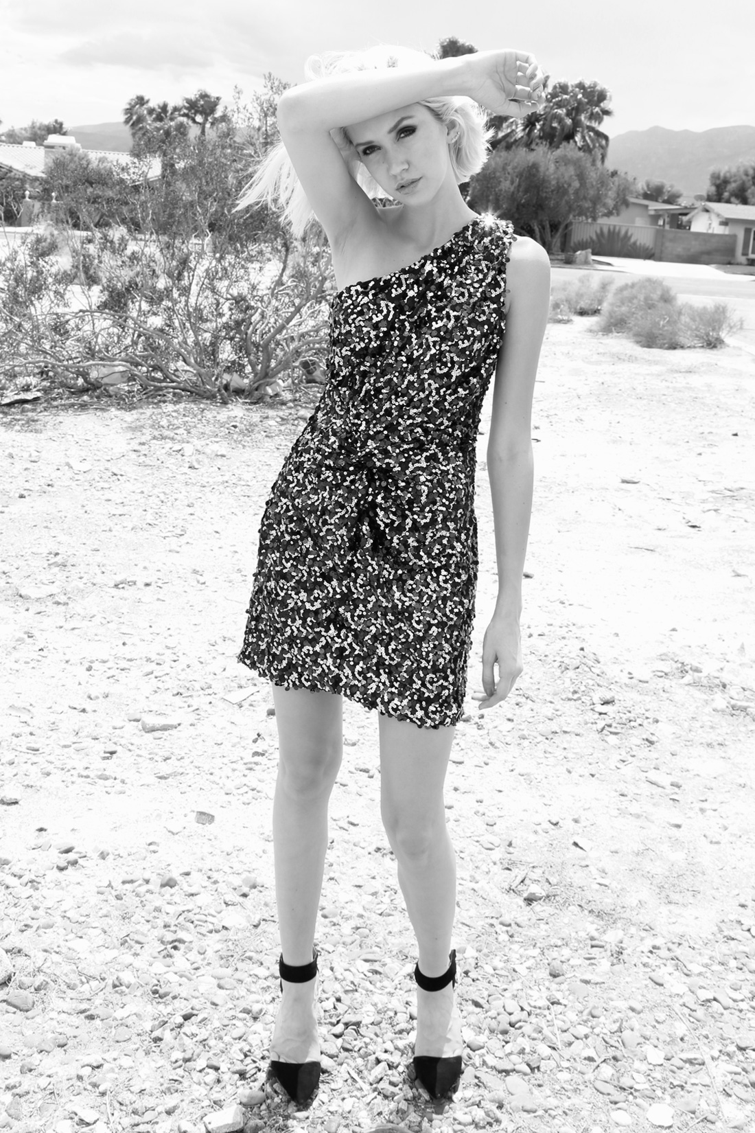 Lily Jane