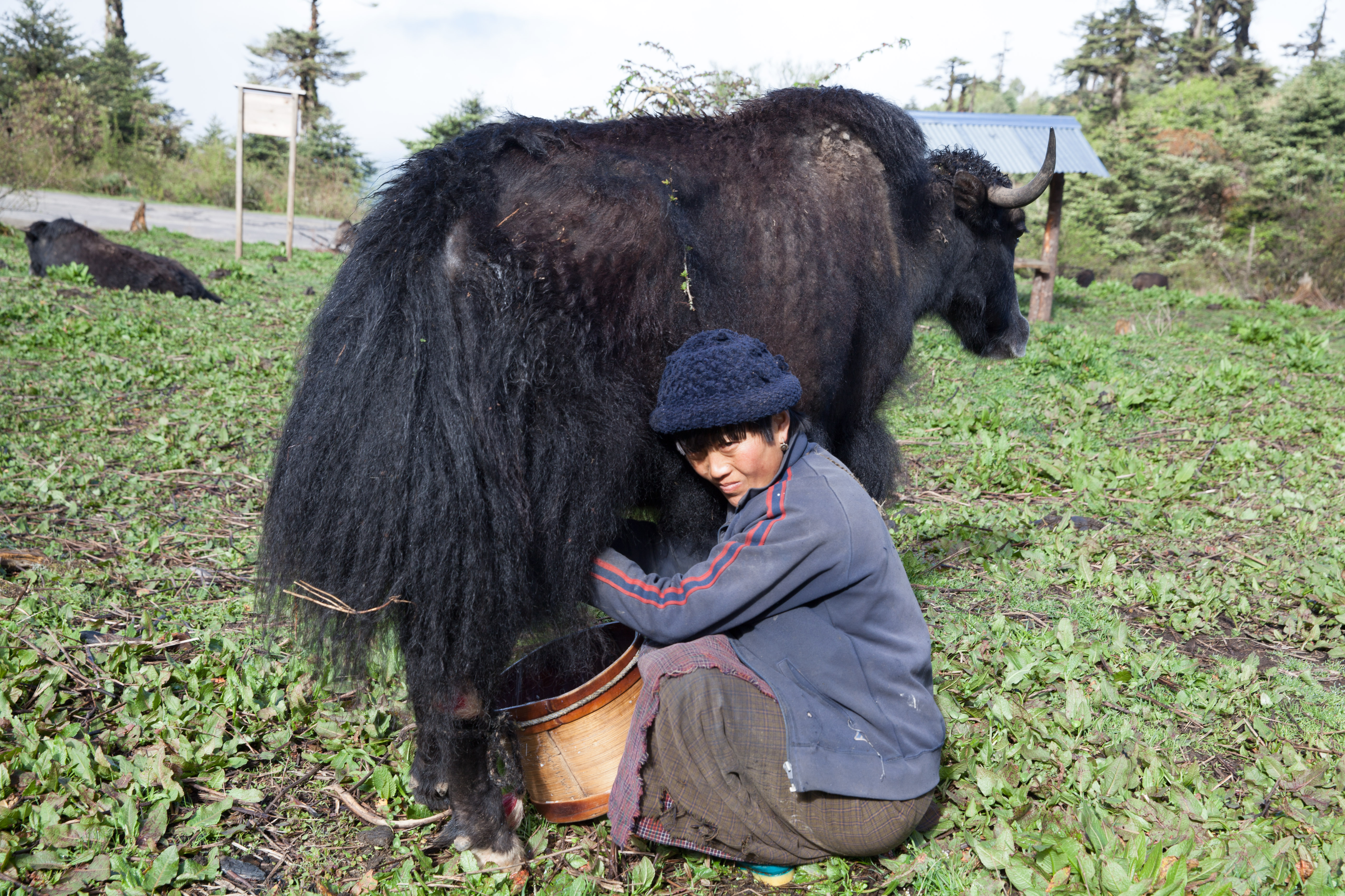 BHUTAN