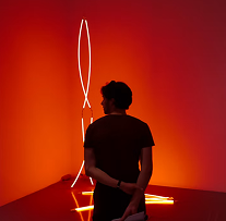 Immersion and Light